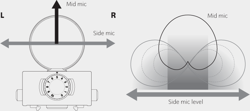 MSH-6 MS Diagram